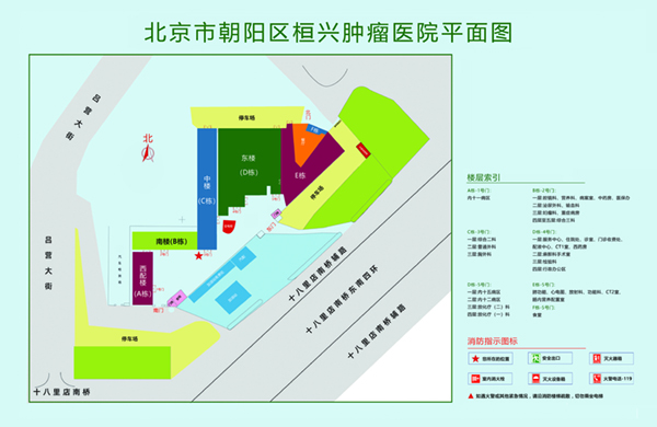 肏逼黄网北京市朝阳区桓兴肿瘤医院平面图